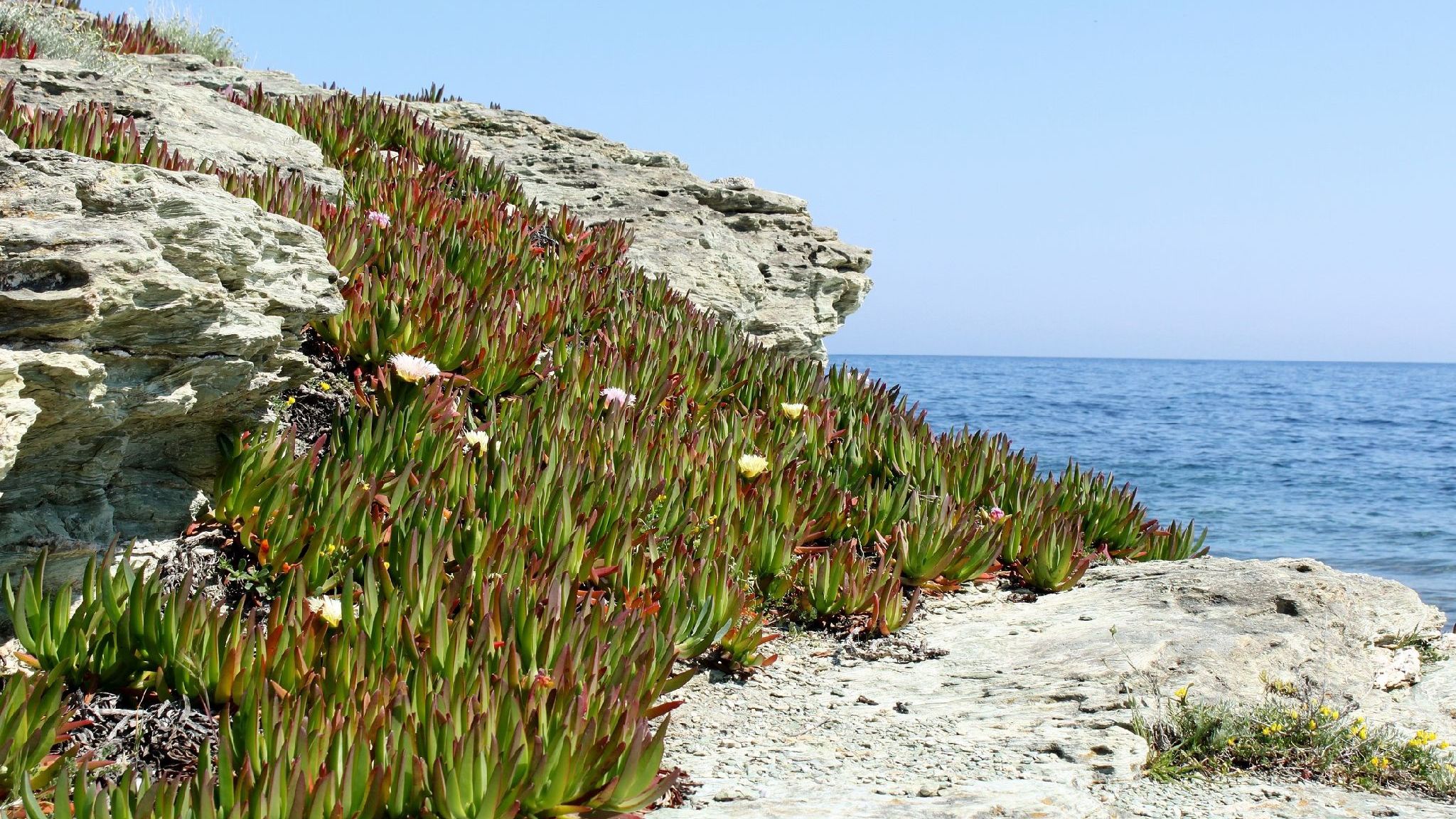 Santa Marina — photo 3
